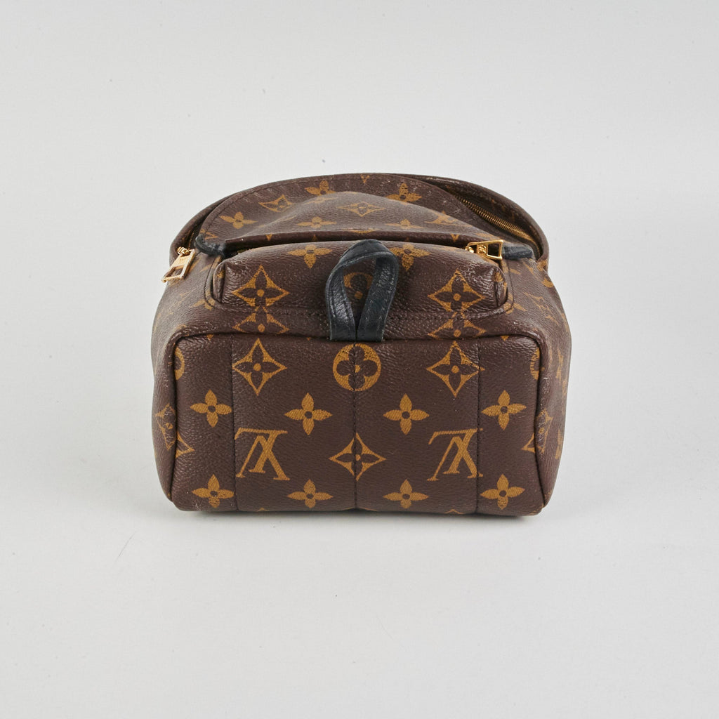 Louis Vuitton Palm Springs Mini Monogram Backpack
