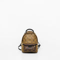 Louis Vuitton Mini Reverse Palm Springs Backpack