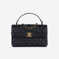 Chanel Daily Companion Flap