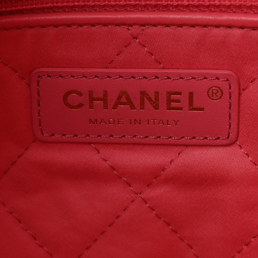 Shiny Calfskin Quilted Small Chanel 22 Coral Pink
