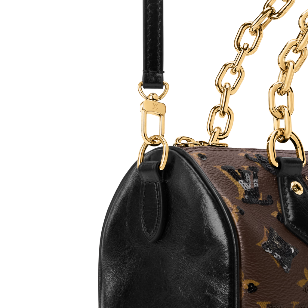 Louis Vuitton Monogram Coated Canvas Speedy Bandoulière 20 Handbag – Brown