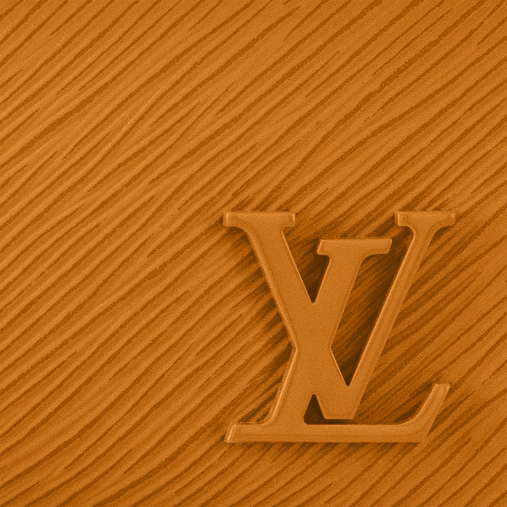 Louis Vuitton Cluny Mini Handbag - Gold Miel