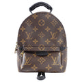 Louis Vuitton Monogram Canvas Palm Springs Mini Backpack
