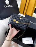 Chanel 23A Black and Gold Lion Emblem Chain Bag